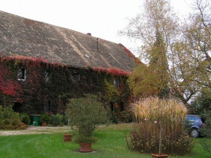 Фото: Mariannenhof Cafégarten